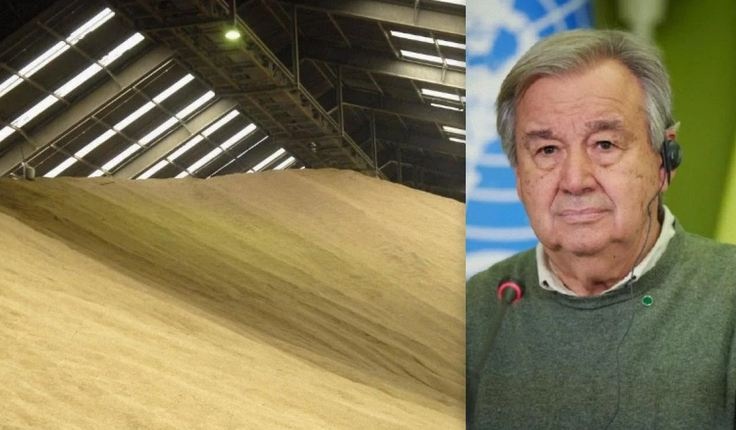 Вопрос зерновой сделки: в Украине ответили на тайные предложения ООН Москве
