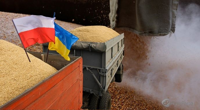 В отношениях назревает кризис: Польша и Украина поссорились из-за зерна