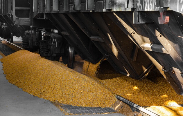 Экспорт зерна из Украины: Шмыгаль сделал Польше, Венгрии и Словакии предложение