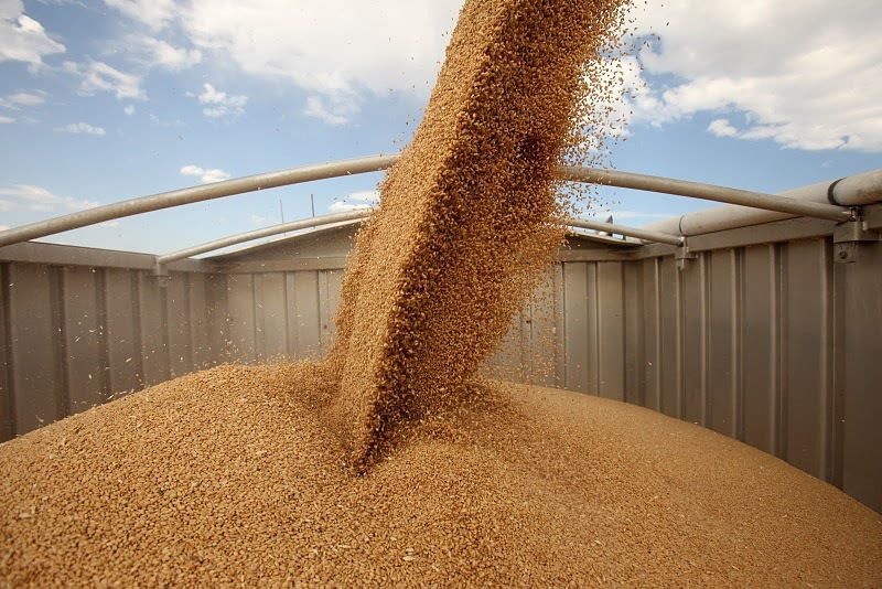 Украина откроет наземный коридор для экспорта зерна - Кулеба