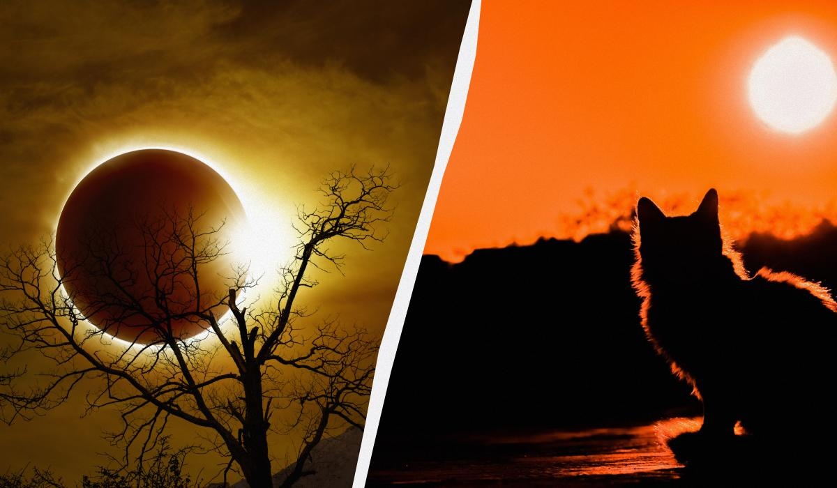 Сонячне затемнення у жовтні: як подія позначиться на кожному