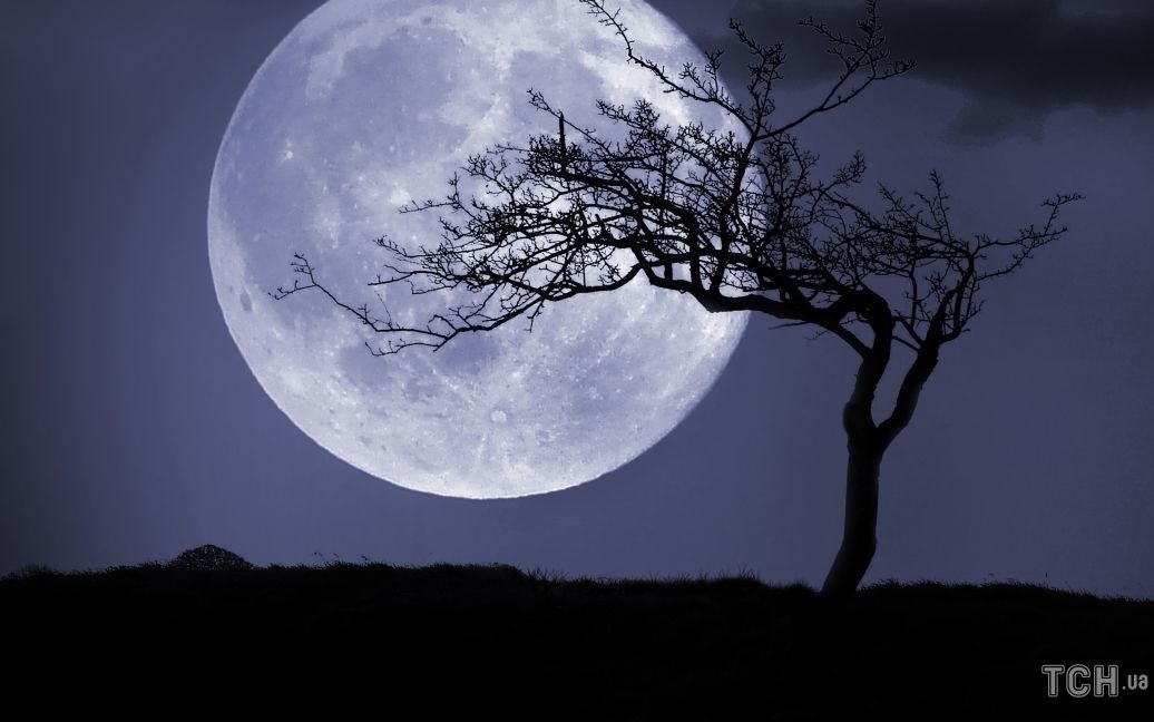 Растущая Луна 15-27 октября: что ждет каждого в это время