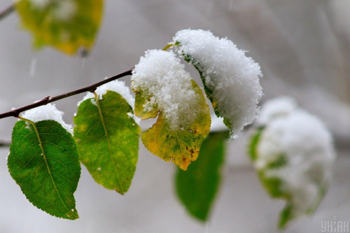 Сніг та холод: синоптик спрогнозувала погодні катаклізми в Україні