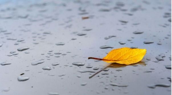 Дощі намочать майже всю Україну: прогноз на 20 жовтня