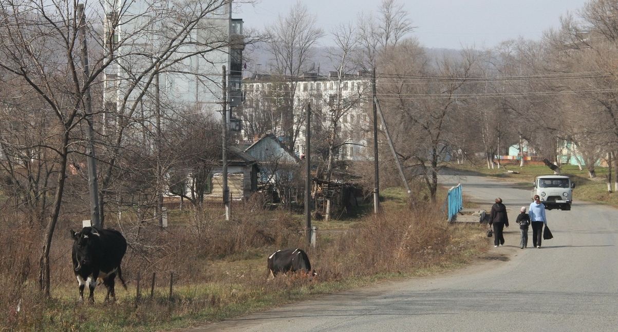 В Україні зникнуть селища міського типу: Зеленський запроваджує новий адміністративний поділ