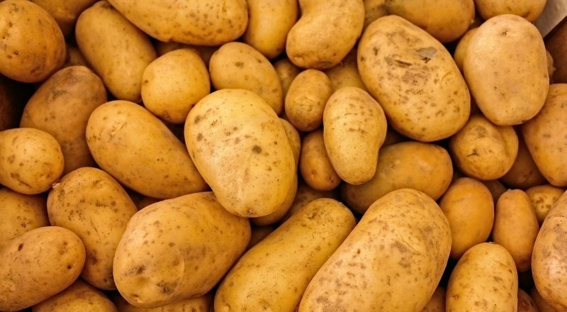 В Украине неожиданно подорожал картофель: какие цены сейчас