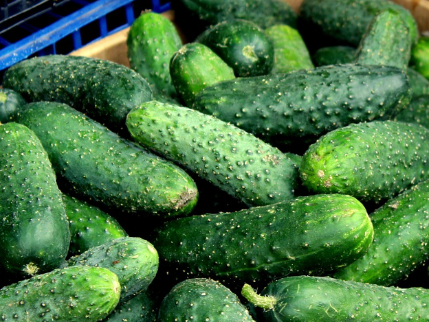В Україні зафіксовано зростання цін на огірки: скільки зараз коштує овоч