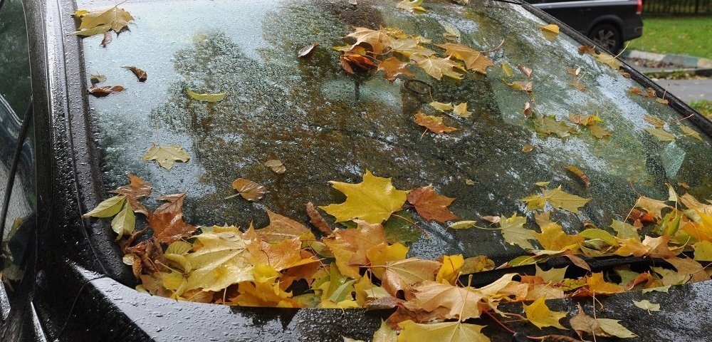 Без дощів не обійдеться: прогноз погоди на вихідні 28-29 жовтня