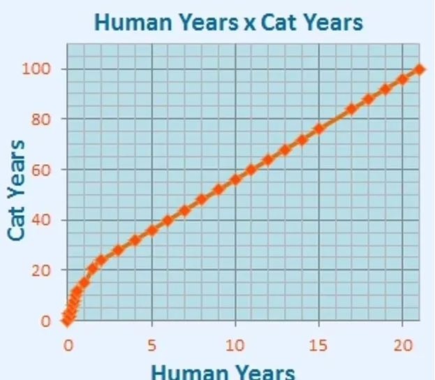 коты, возраст