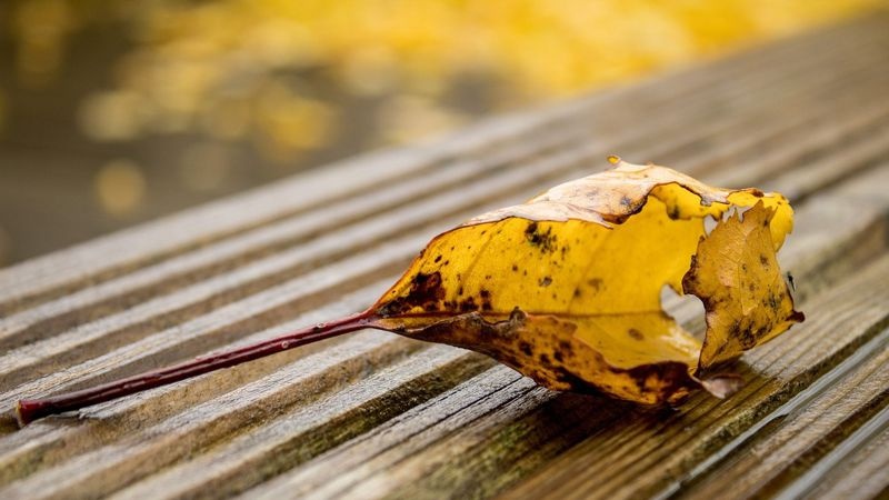 Прогноз погоди в Україні на сьогодні: що обіцяють синоптики