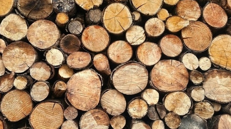 Кабмин увеличил субсидии на дрова: сколько денег могут выделить на семью