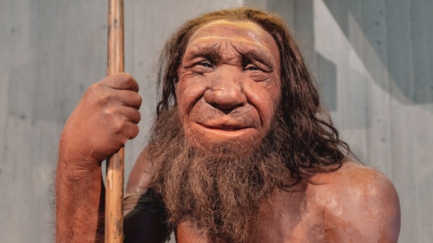 Очень похож на человека: ученые создали новую реконструкцию лица неандертальца