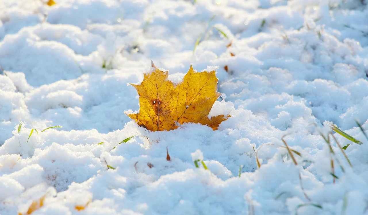 Україну накриють перші снігопади: де та коли випаде сніг