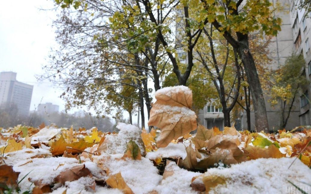 Дожди и мокрый снег: прогноз погоды на сегодня в Украине