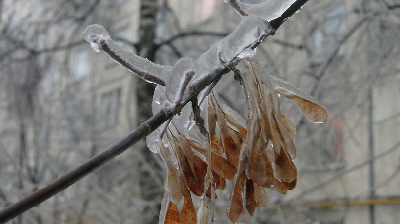 В некоторых регионах Украины прогнозируется ледяной дождь: когда нужно быть предельно осторожным