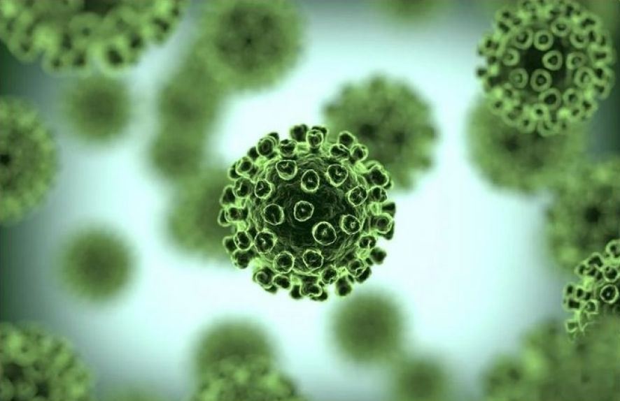 В Україні "гуляють" чотири нові мутації коронавірусу Омікрон: що відомо про їхнє поширення