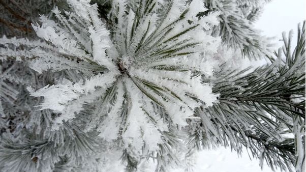 Укргідрометцентр спрогнозував погоду у грудні