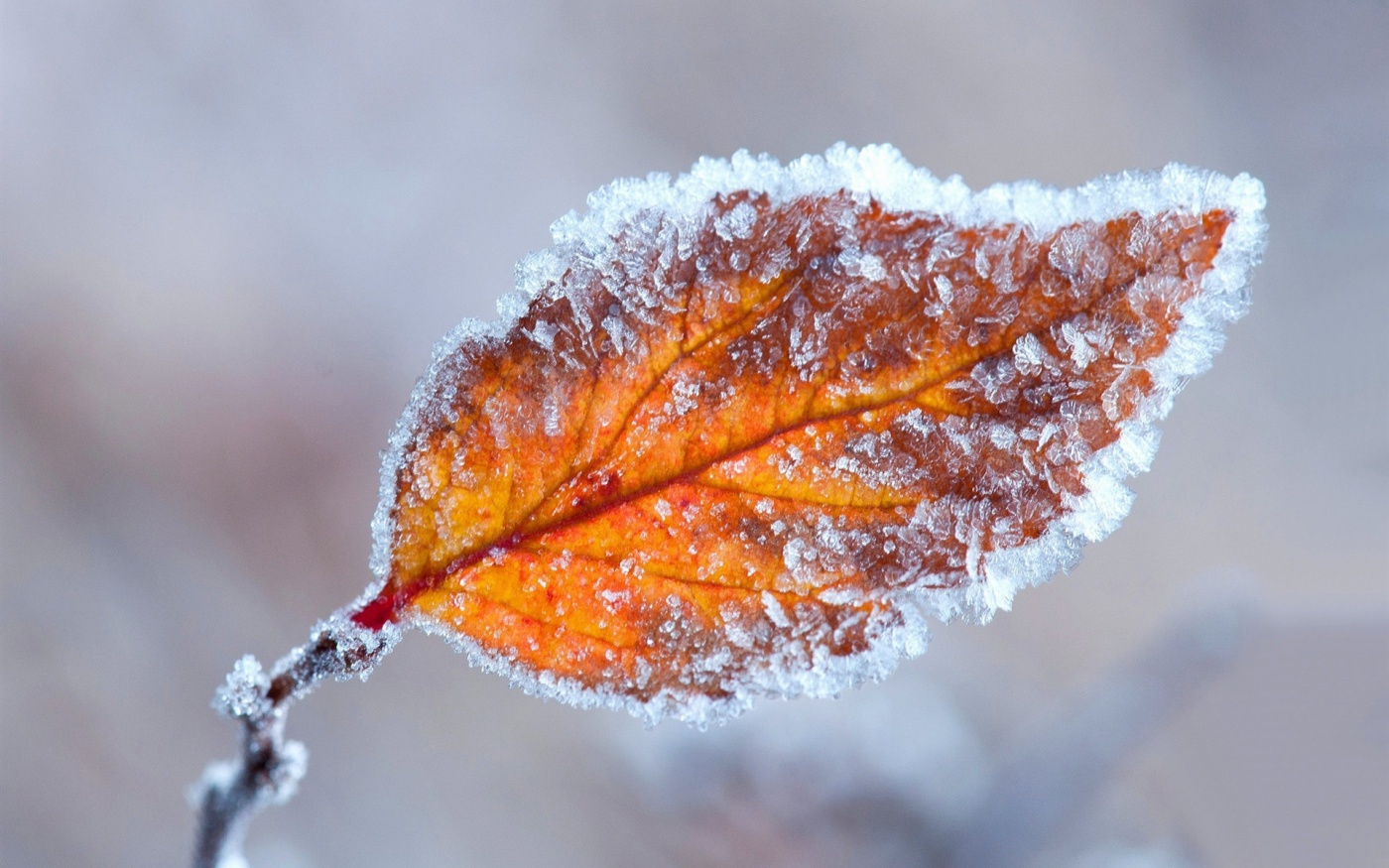 Синоптики дали прогноз на другу половину листопада: коли прийдуть морози та випаде сніг