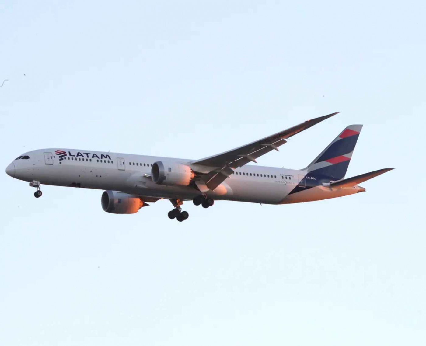 Двигатель самолета загорелся во время полета из-за птицы: шокированные пассажиры сняли видео