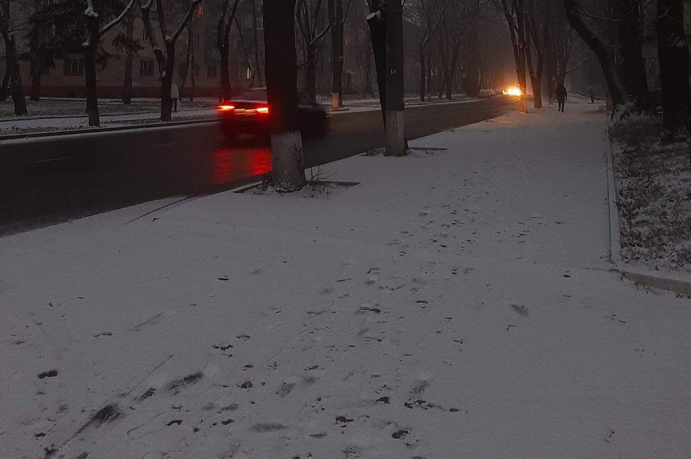 Погода в Україні цієї зими: кліматолог розповіла про морози та снігопади