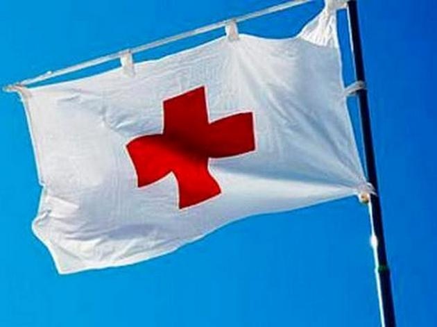 Червоний Хрест Білорусі брала участь у депортації країнських дітей: що вирішила Міжнародна федерація