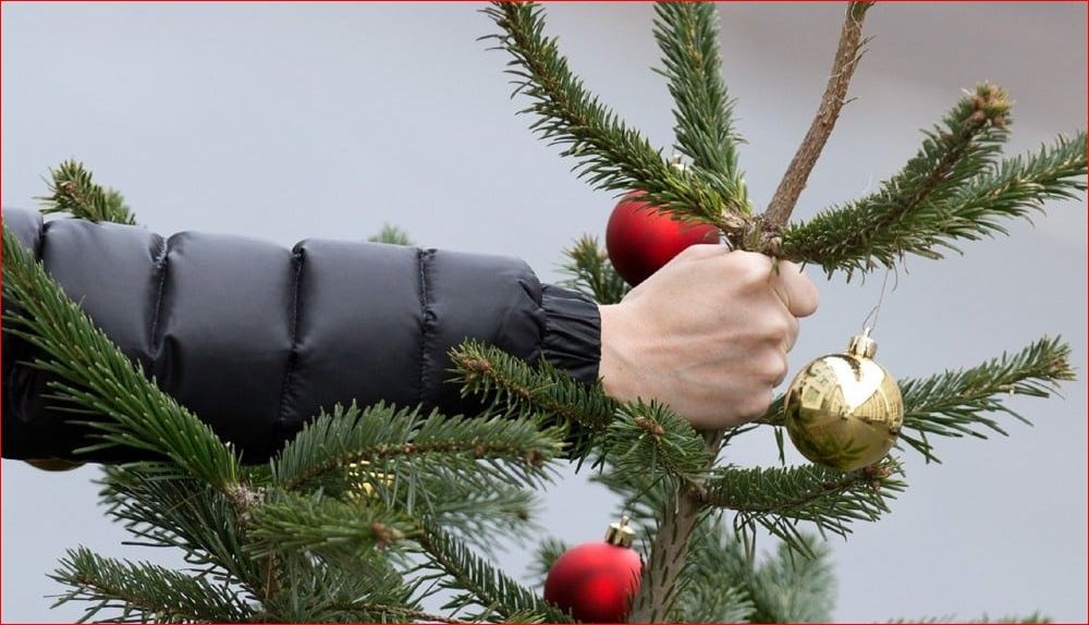 Что делать с елкой после новогодних праздников: лайфхаки