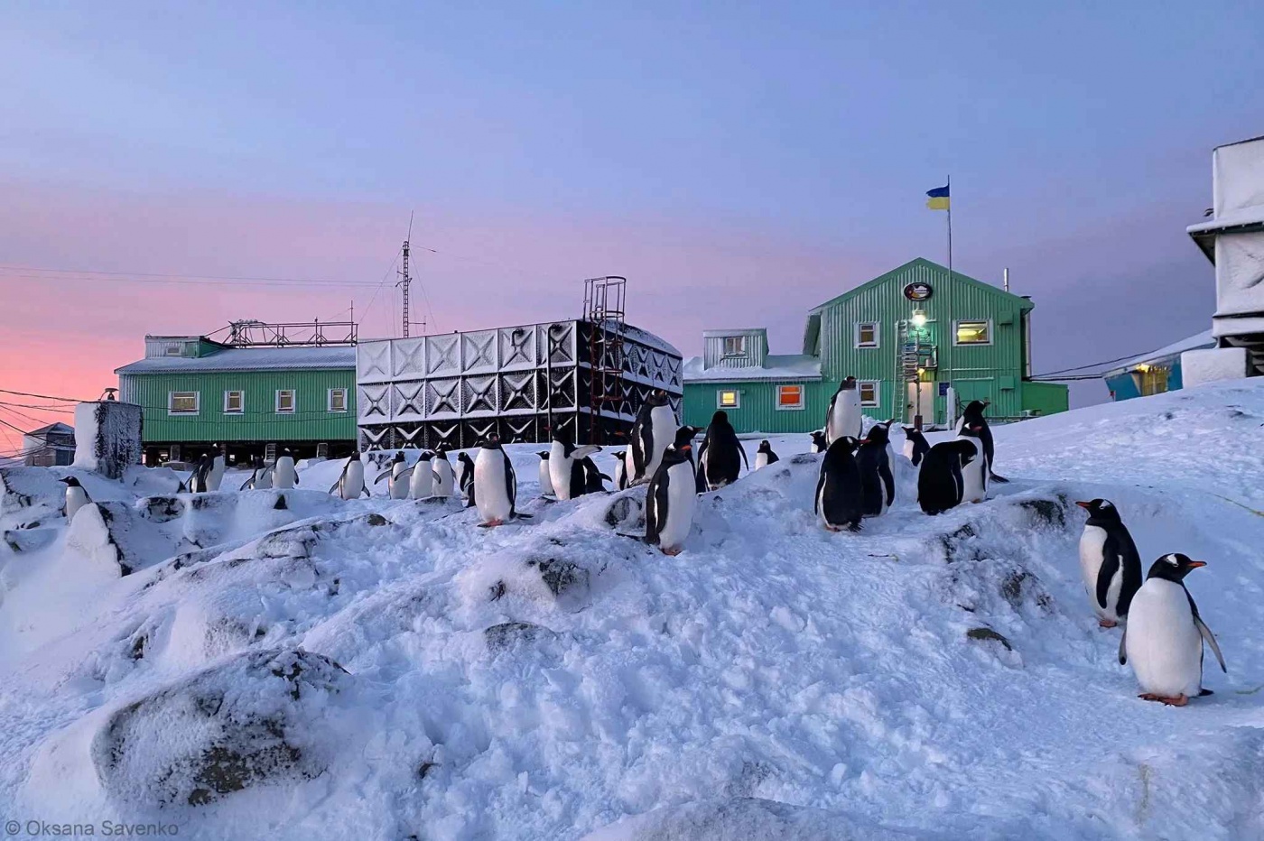 Українські вчені виявили причину танення льодовиків в Антарктиці