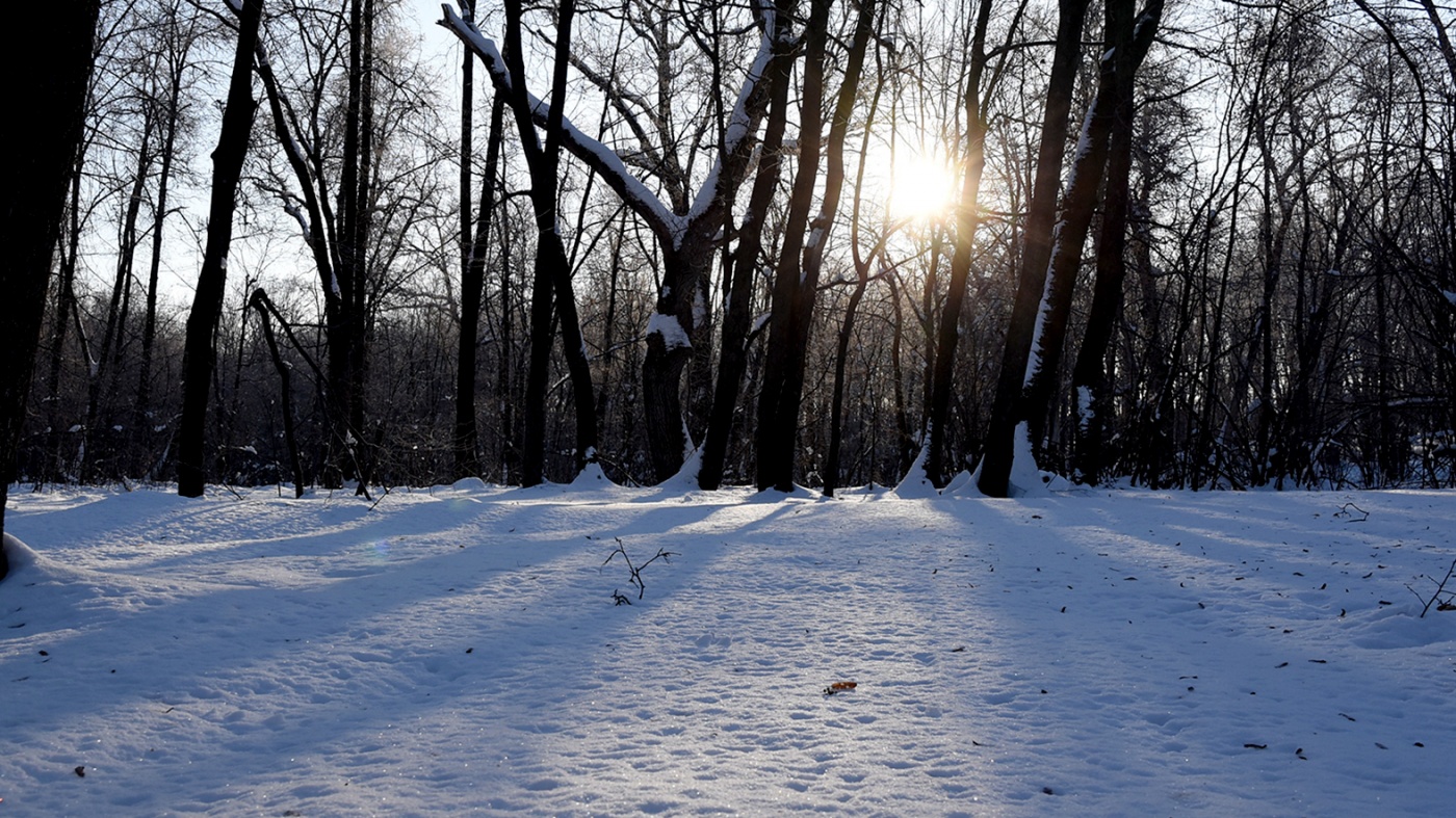 Зимове сонцестояння: коли настане найкоротший день року