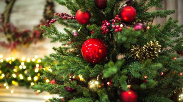 Коли належить позбуватися новорічної ялинки: що кажуть церковні та народні традиції