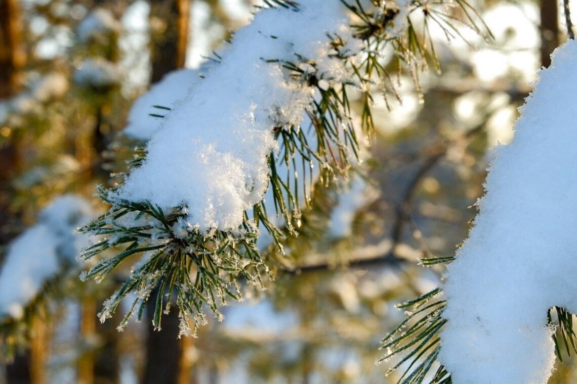 Холодно та сніжно: прогноз погоди на вихідні 6-7 січня