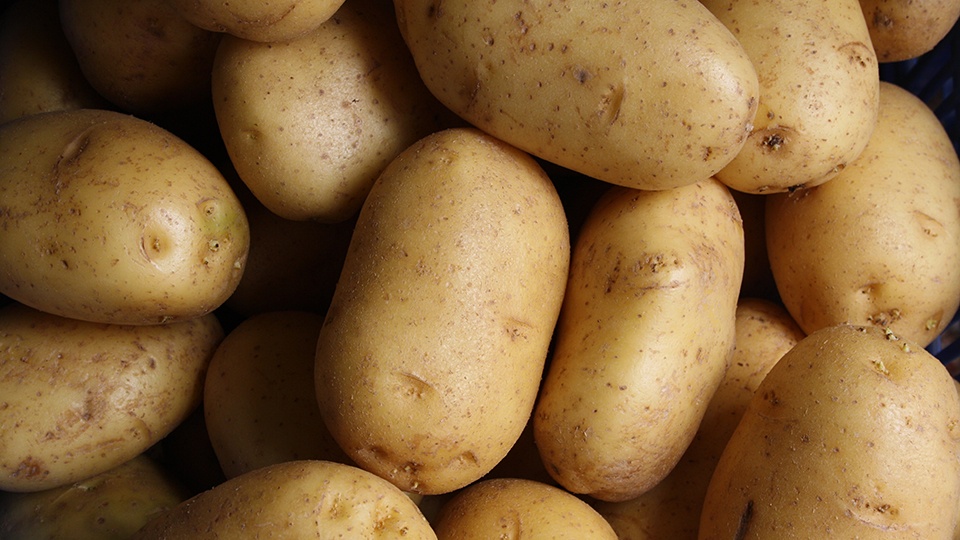 Подорожание картофеля: почему не стоит ждать дешевых овощей