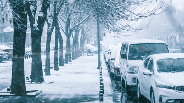 Без осадков, но с морозом: прогноз погоды в Украине на сегодня