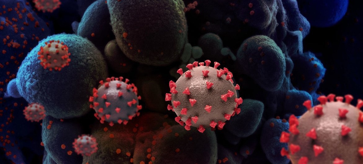 Заболеть коронавирусом и гриппом А одновременно: насколько это опасно