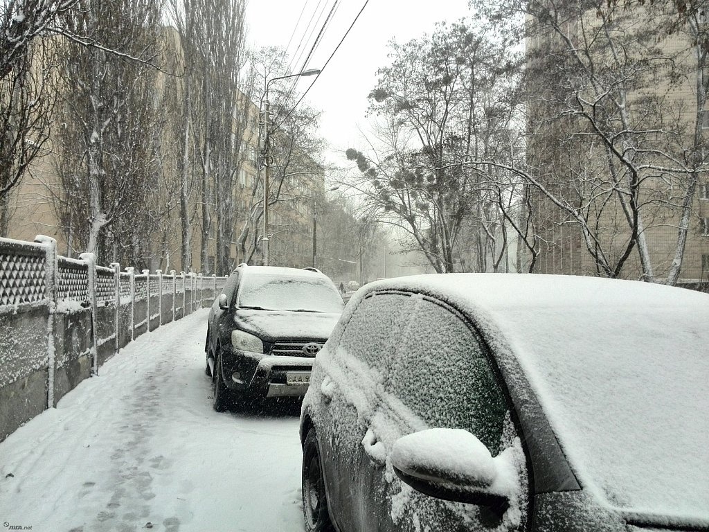 Местами мокрый снег и дождь: прогноз погоды на 1 февраля
