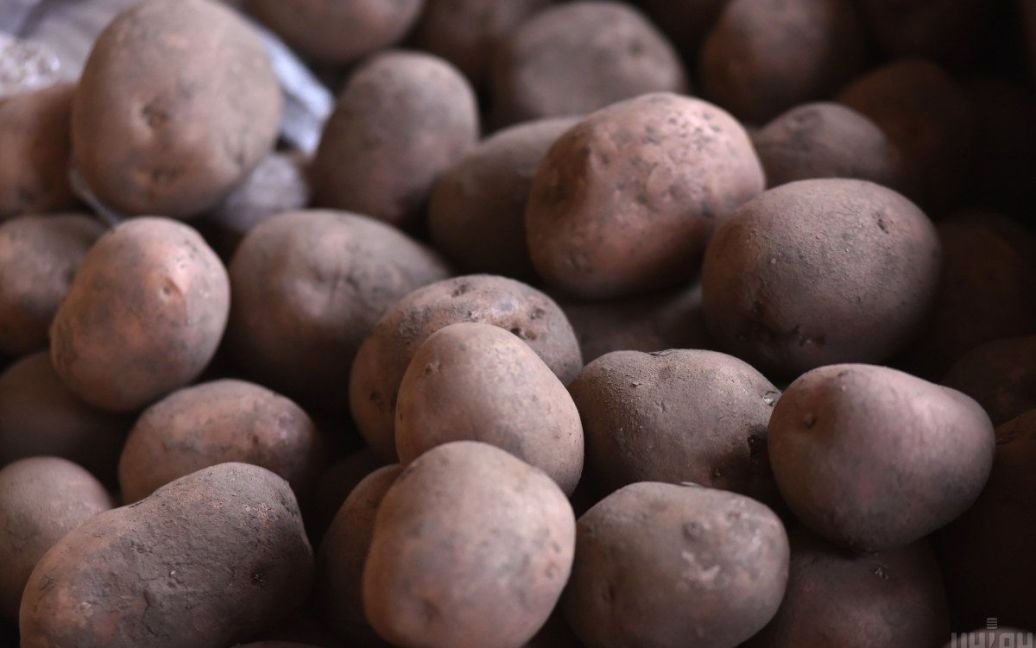 Зростання цін на картоплю: максимуму ще не досягнуто