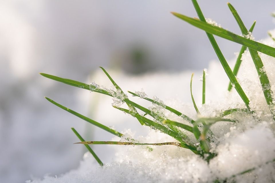 Погода с "сюрпризами": в ближайшие дни в некоторых регионах страны ударят морозы