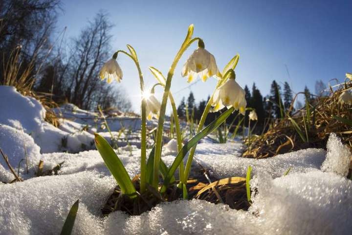 Когда в Украине наступит метеорологическая весна: что обещают синоптики