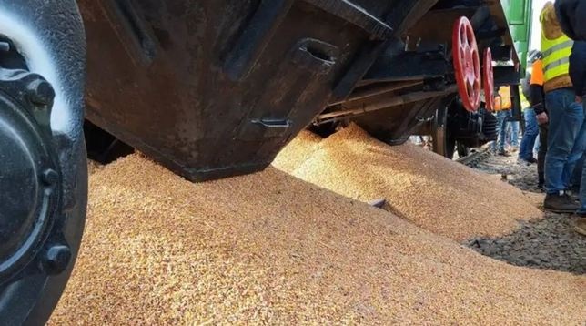 В Польше признались: украинское зерно, из-за которого блокируют границу, не остается в стране