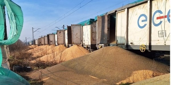 Диверсія з українським зерном на кордоні: у Польщі обіцяють знайти винуватців