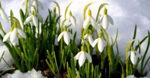 Морози та снігопади: синоптик розповів, якою буде погода у березні