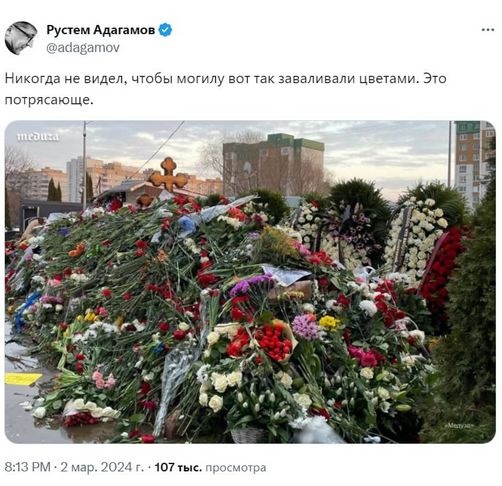 К могиле Навального снова выстроилась очередь