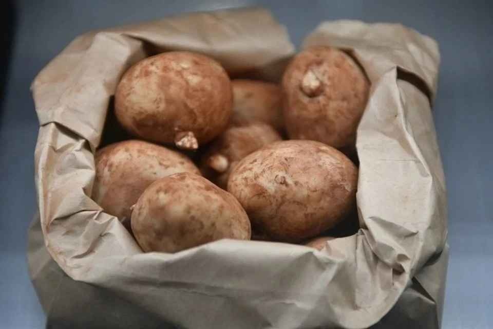 Цены на картофель: названы причины роста