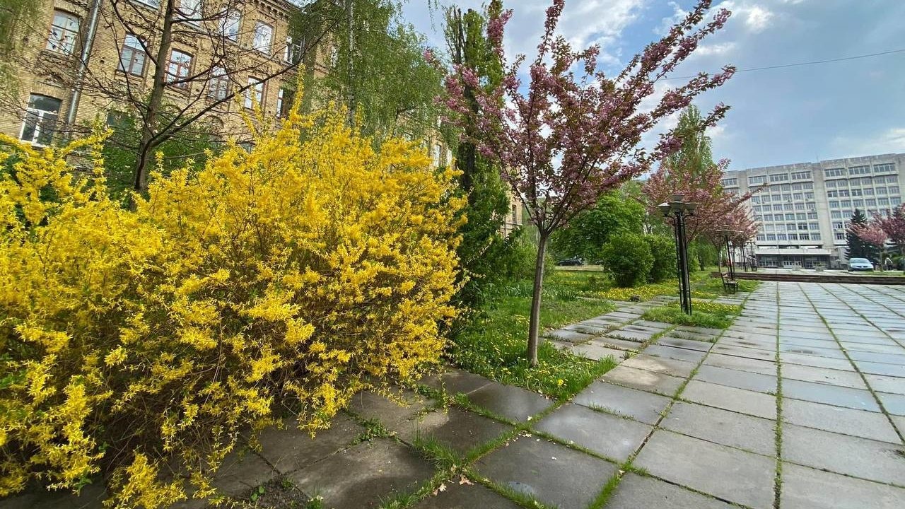 В Украину спешит настоящая весна: когда придет потепление