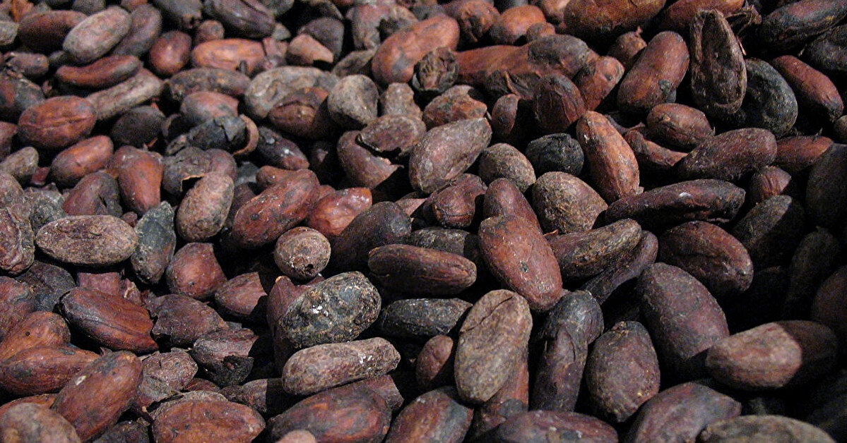 Повышение стоимости шоколада: цены на какао взлетели до нового рекорда