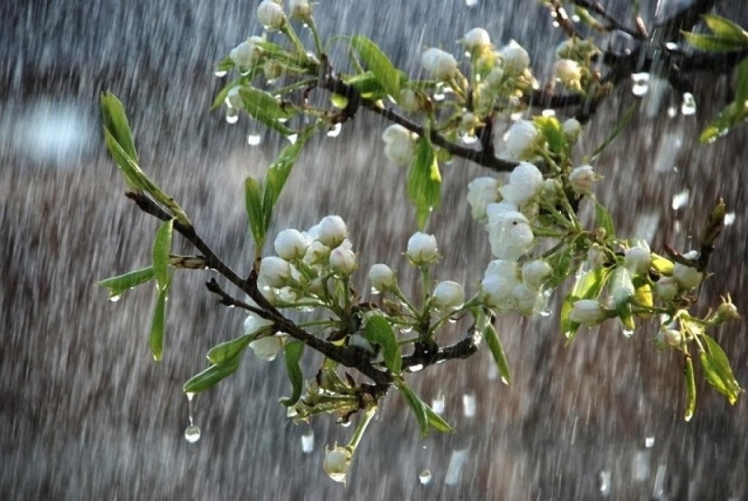 Дощі та шквальний вітер: в Україні погіршиться погода