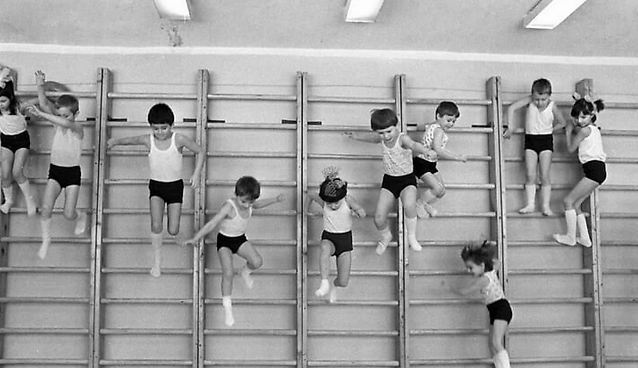 Почему гимнастическая стенка  в СССР превратилась в шведскую: объясняем термин