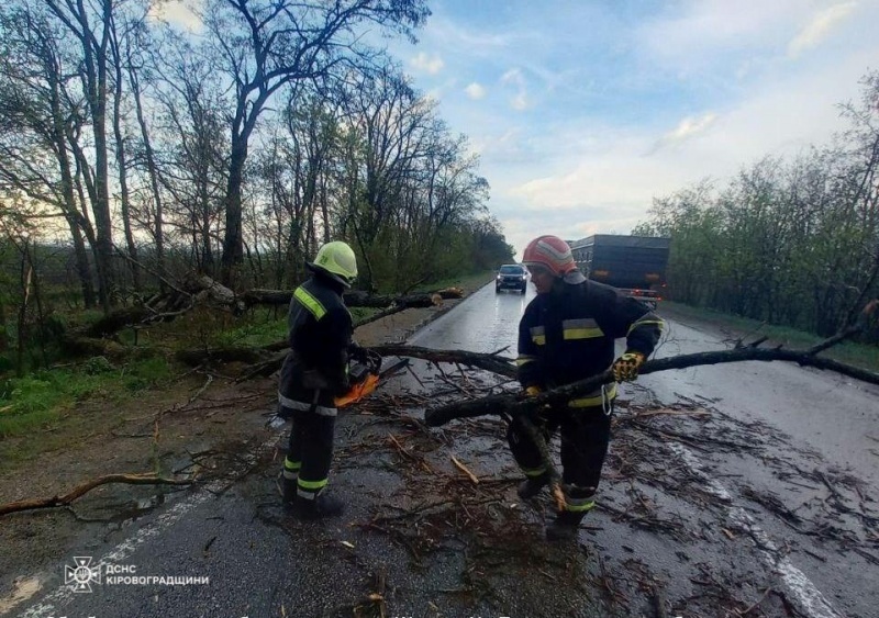 Ряд областей Украины накрыла непогода: где именно падали деревья и исчез свет