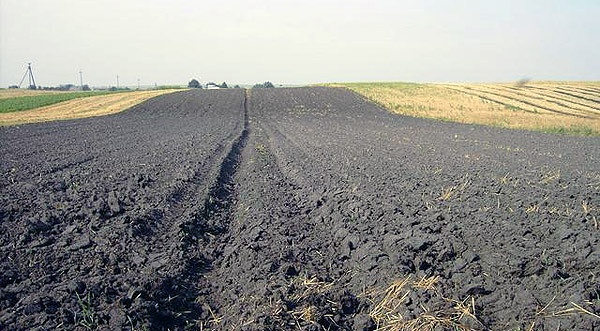 Второй этап земельной реформы: сохранят ли украинцы землю от иностранных посягательств