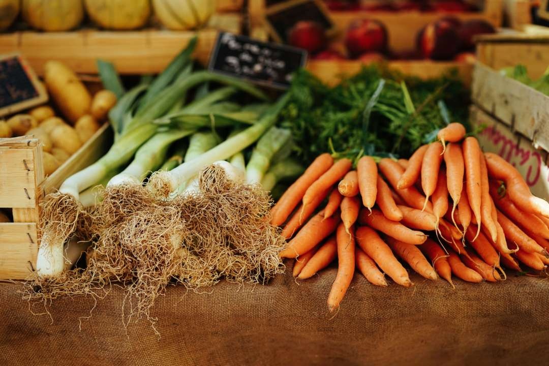 Цены на морковь обвалились: сколько сейчас стоит овощ