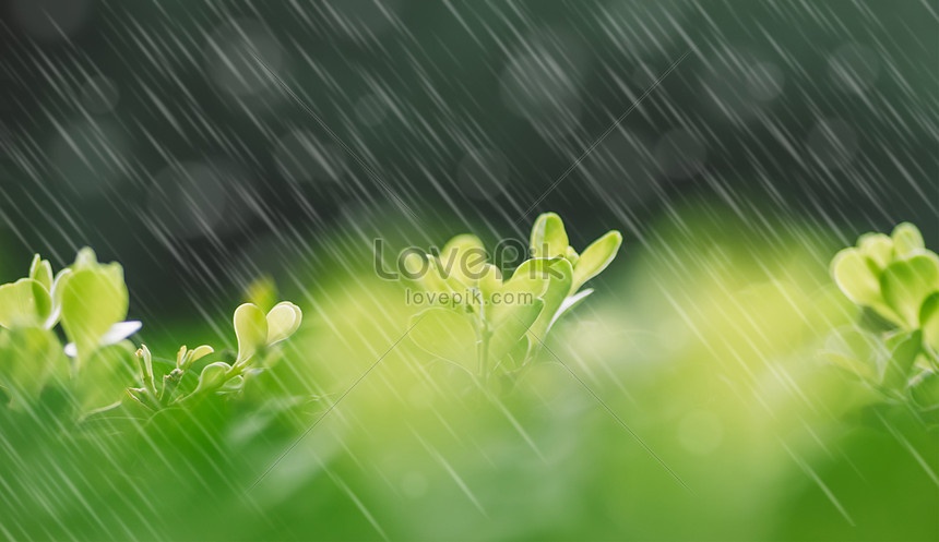 Дощі, місцями навіть із грозами: прогноз погоди на сьогодні